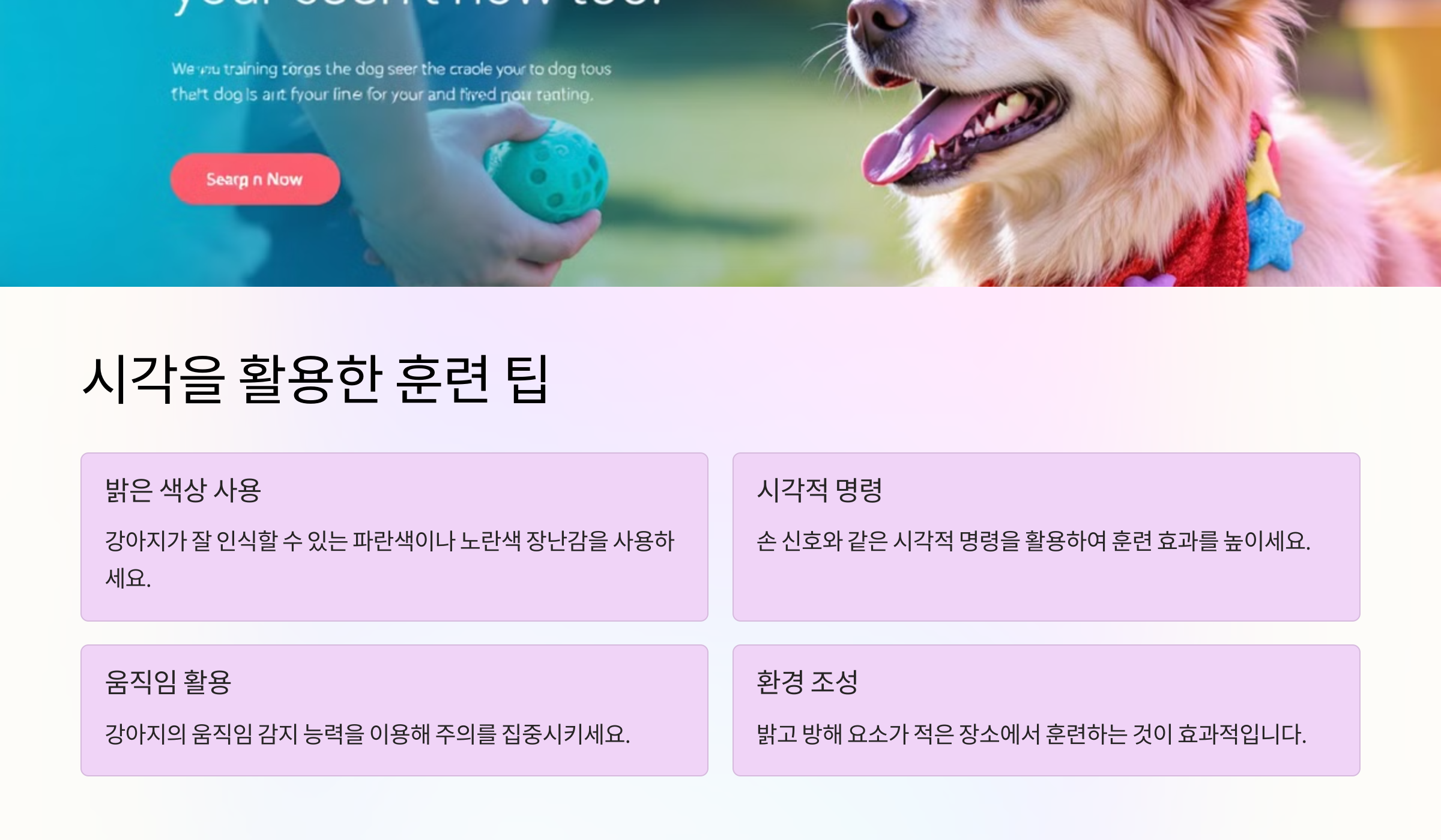 시각을 활용한 훈련 팁