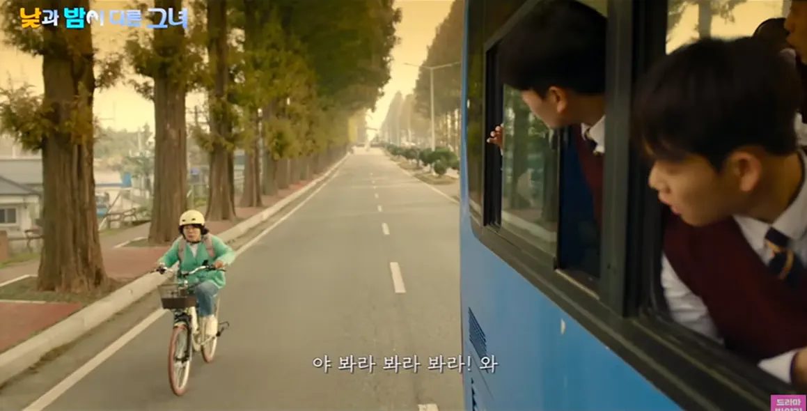 청주 메타세콰이어 길