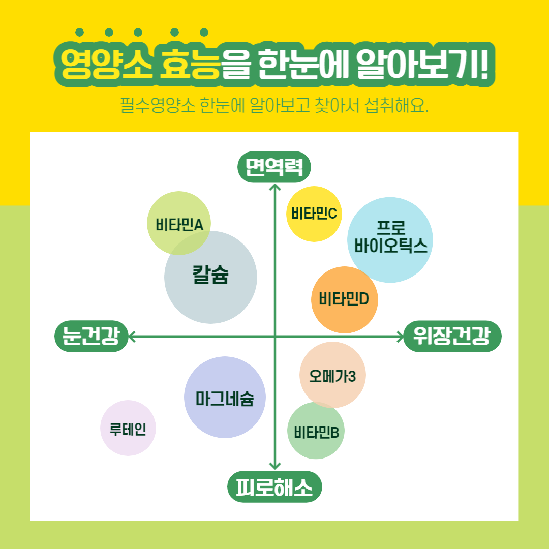연말 부모님 감동 선물
