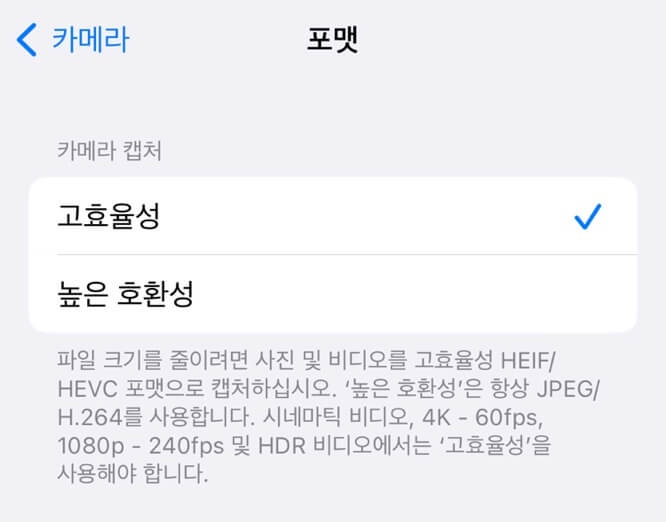 고효율성
