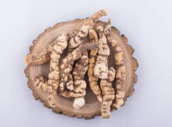 백수오 효능 및 영양성분&amp;#44; 주의점