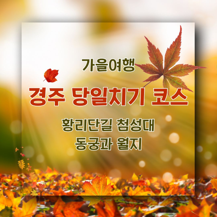 경주/당일치기로/여행하기