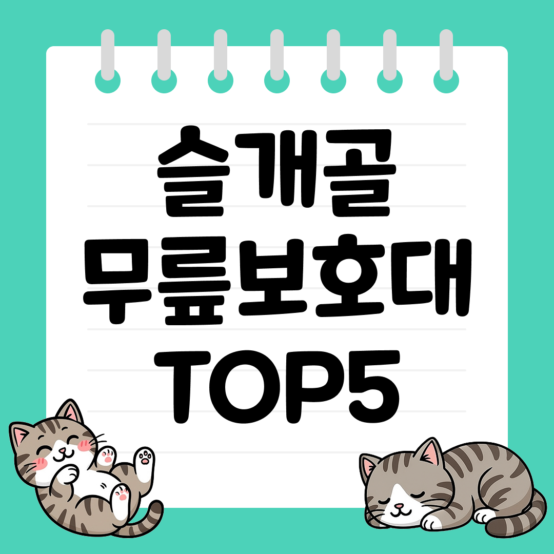 운동 중 무릎 부담을 줄여주는 슬개골 무릎보호대 추천 TOP5