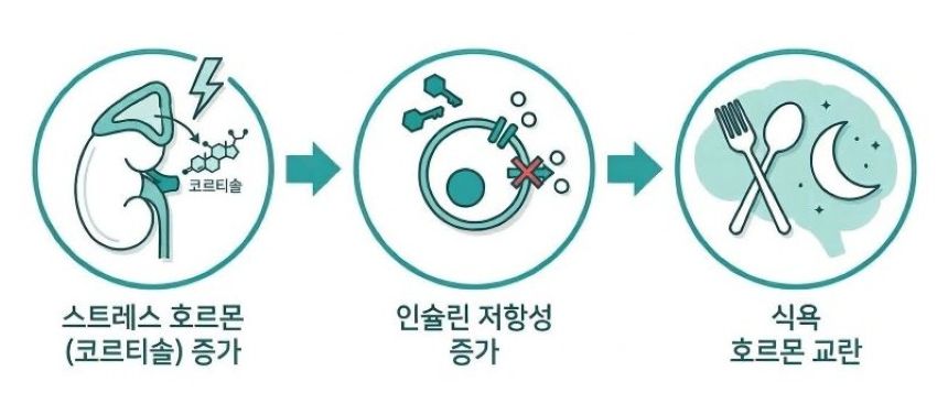 수면 부족이 혈당을 올리는 3가지 경로 — 코르티솔 증가, 인슐린 저항성 증가, 식욕 호르몬 교란
