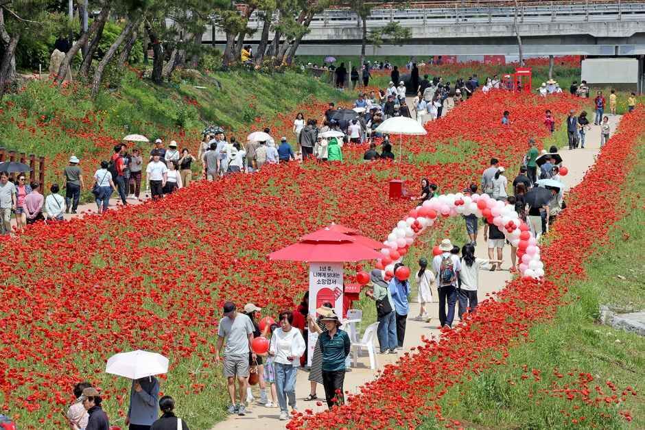 괴산 빨간맛 페스티벌 일정 2026