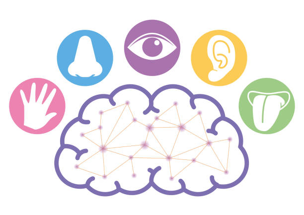 청력 저하 보청기 치매 난청 침묵 뇌 인지 기능 손실 좋아지는 법 귀 회복 관리 역치 경도 장애