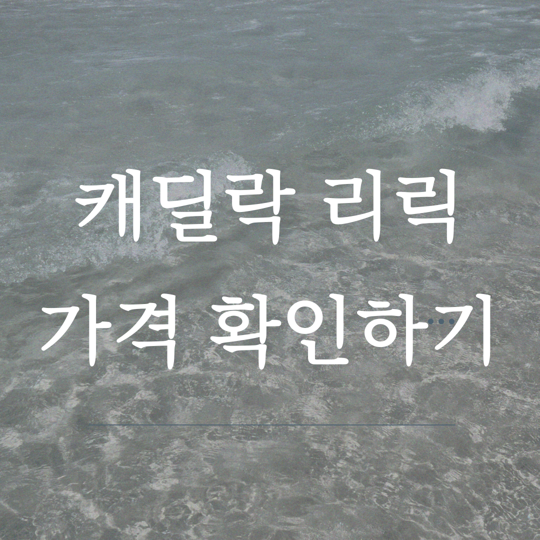 캐딜락 리릭 가격, 보조금, 견적 신청 방법