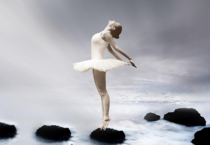 발레 아곤 관련 사진