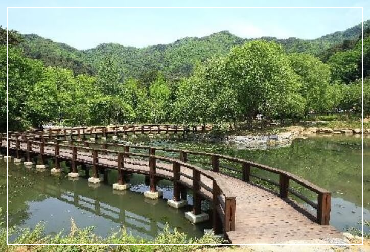 홍천 가볼만한곳 베스트10 공작산 생태숲