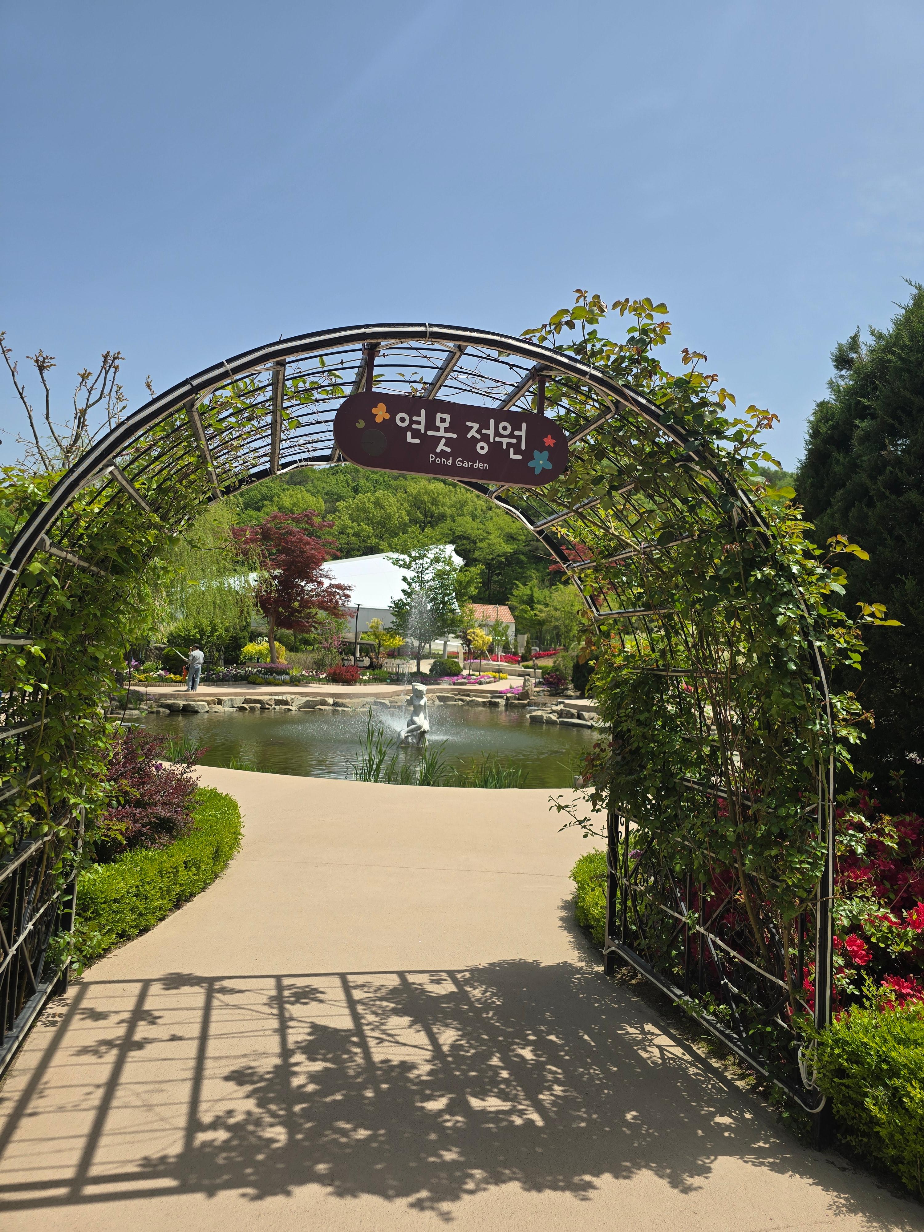 용인 자작나무 숲 봄꽃축제, 힐링 가득한 하루