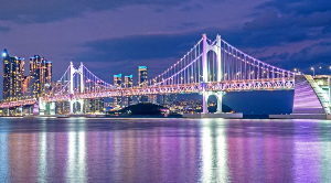 광안리 해변에서 반려견과 함께 바다를 바라보는 장면