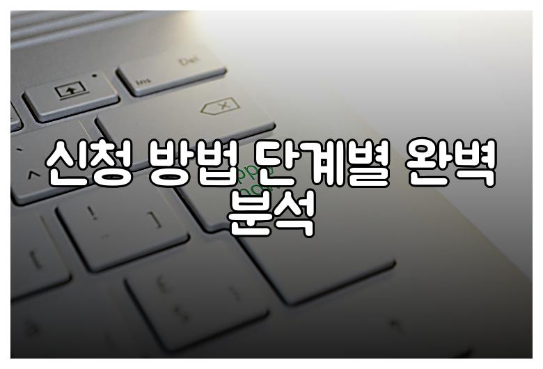 신청 방법 단계별 완벽 분석