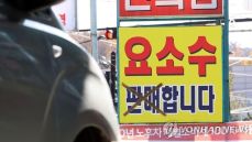 요소수 가격인상 원인 해결방안