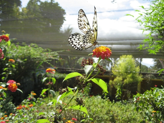 필리핀 보라카이 여행