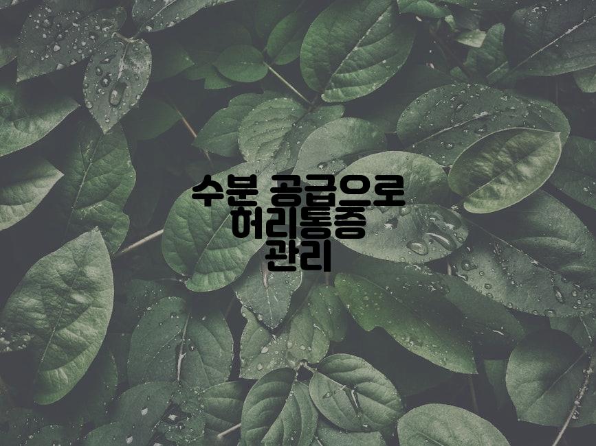 수분 공급으로 허리통증 관리