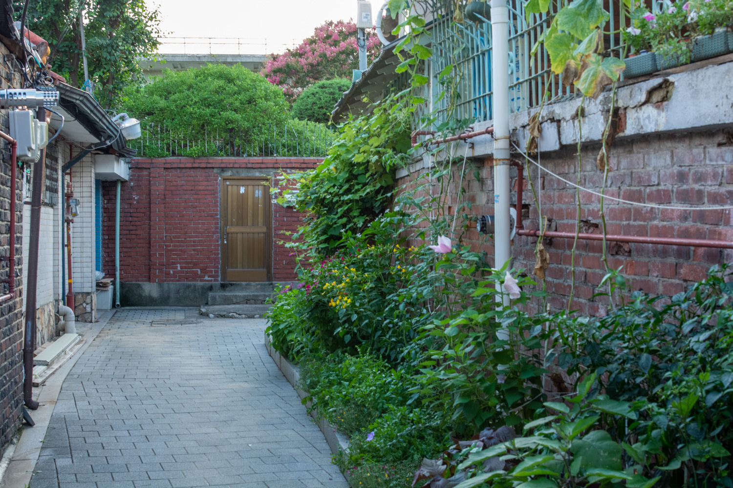 서촌 골목 맛집 여행