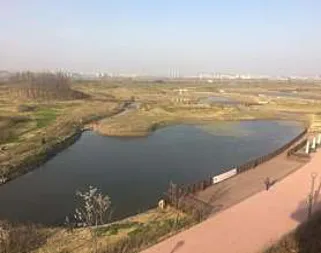 김포한강야생조류생태공원