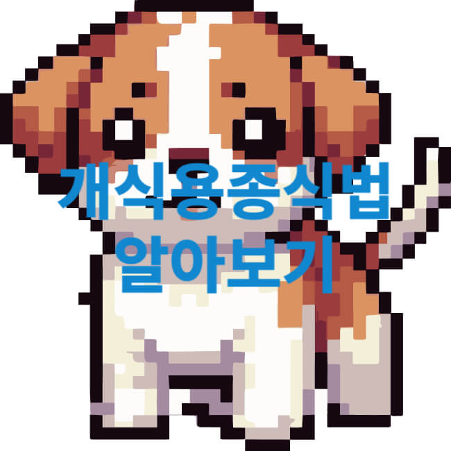 개식용종식법 알아보기