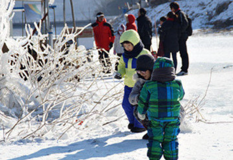안성 동막골 빙어축제