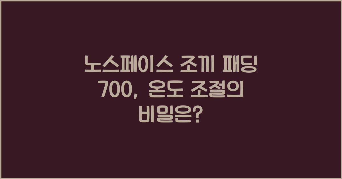 노스페이스 조끼 패딩 700