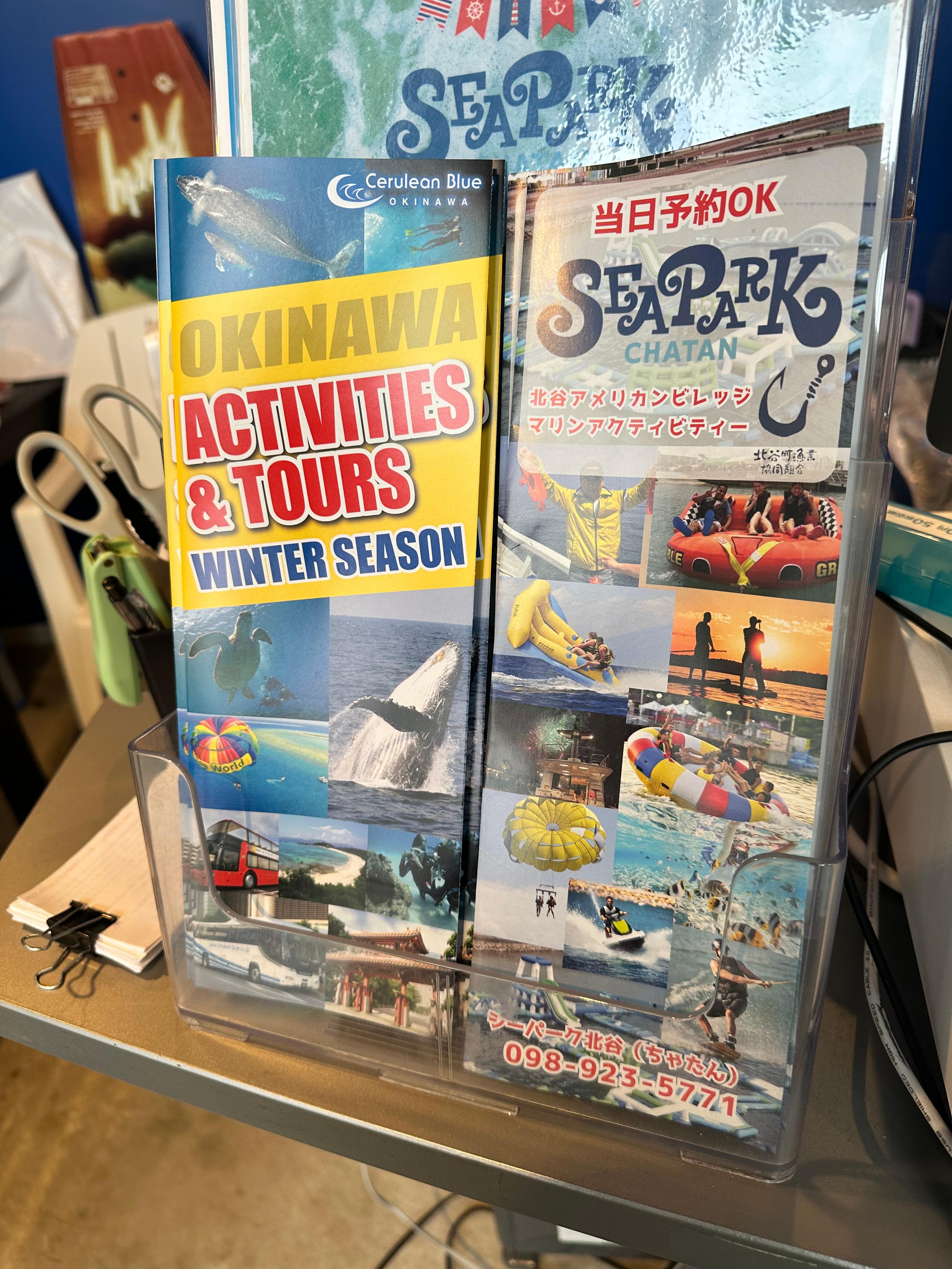 일본 오키나와 혹등고래 투어 후기 - 차탄항 · 산티아고투어·꿀팁 총정리!