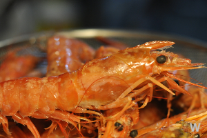 독도는 대한민국 영토 5