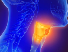 백일해 증상 예방접종 및 가격 백일해 검사 예방접종 시기 치료 방법