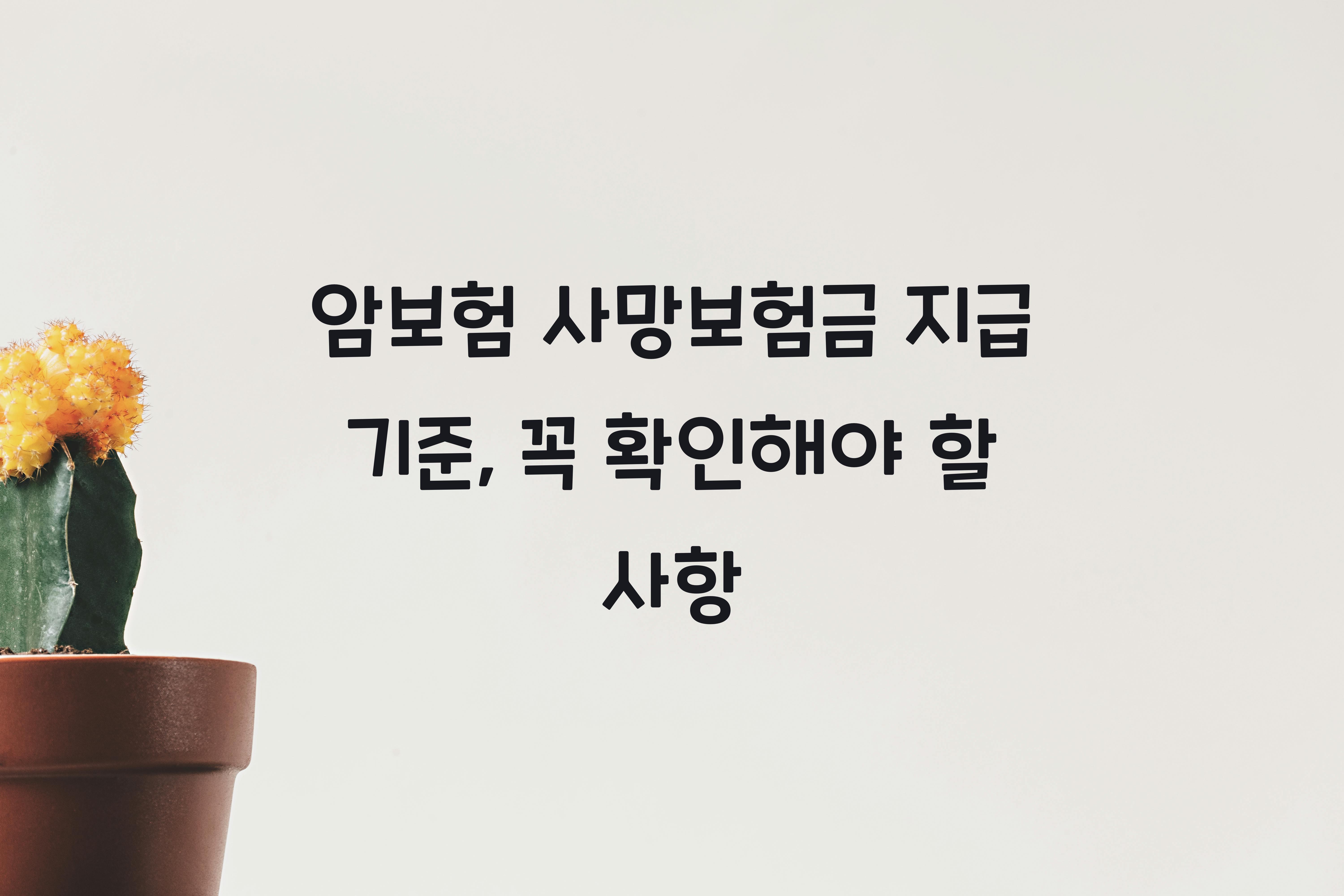 암보험 사망보험금 지급 기준