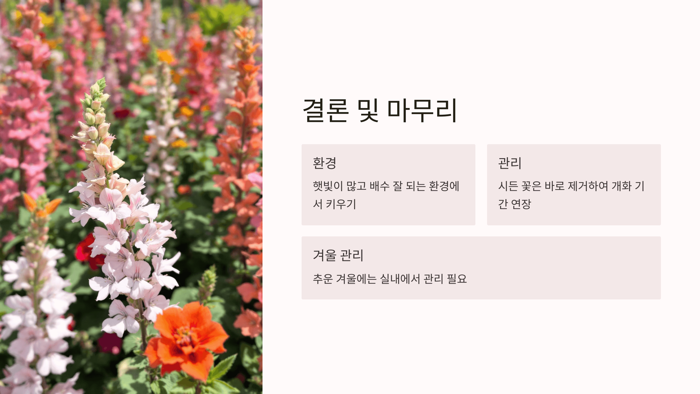 사루비아 사진입니다.