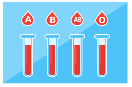빈혈에 좋은 음식