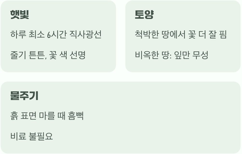 햇볕은 듬뿍, 거름은 조금만