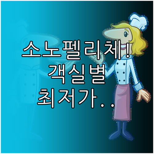 소노벨 소노펠리체 비발디파크 조식 패..