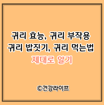 귀리 효능, 부작용, 밥짓기, 먹는법