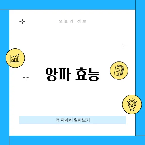 양파 효능