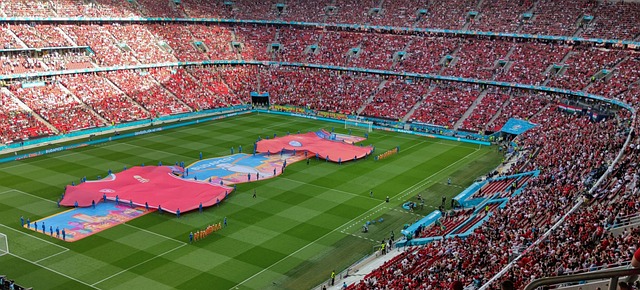 UEFA 유럽 축구 선수권