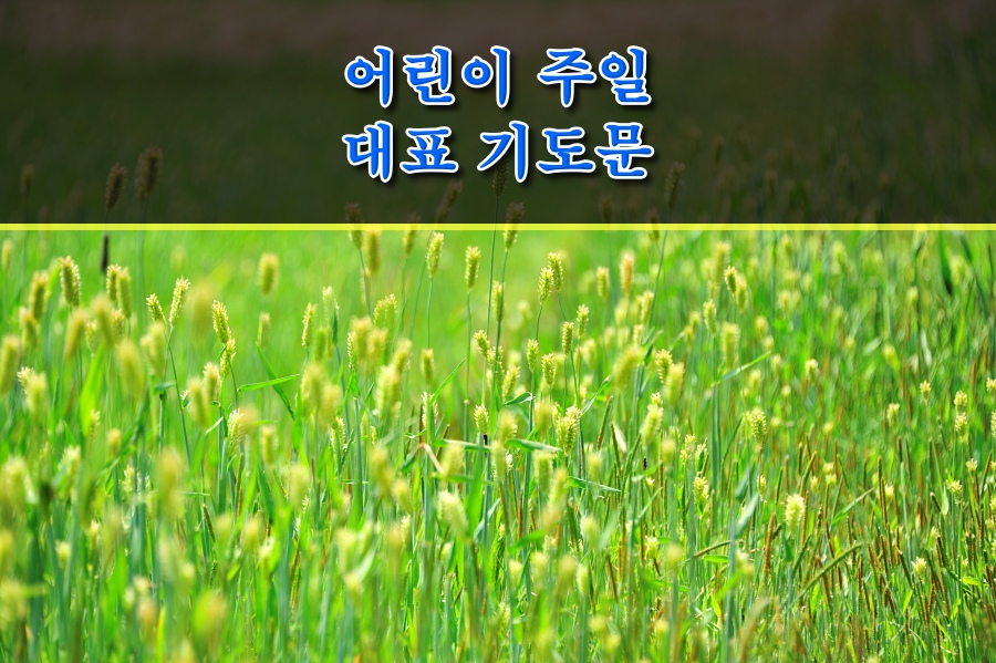 2022년 5월 1일 5월 첫째 주일 대표기도문