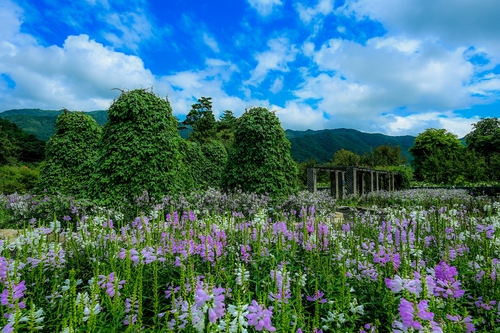 국립수목원 예약