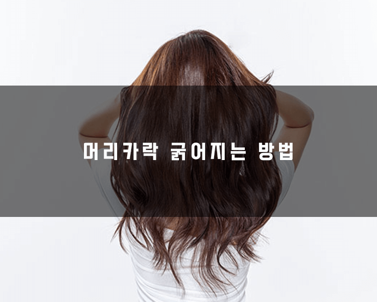 머리카락 굵어지는 방법 3가지 소개
