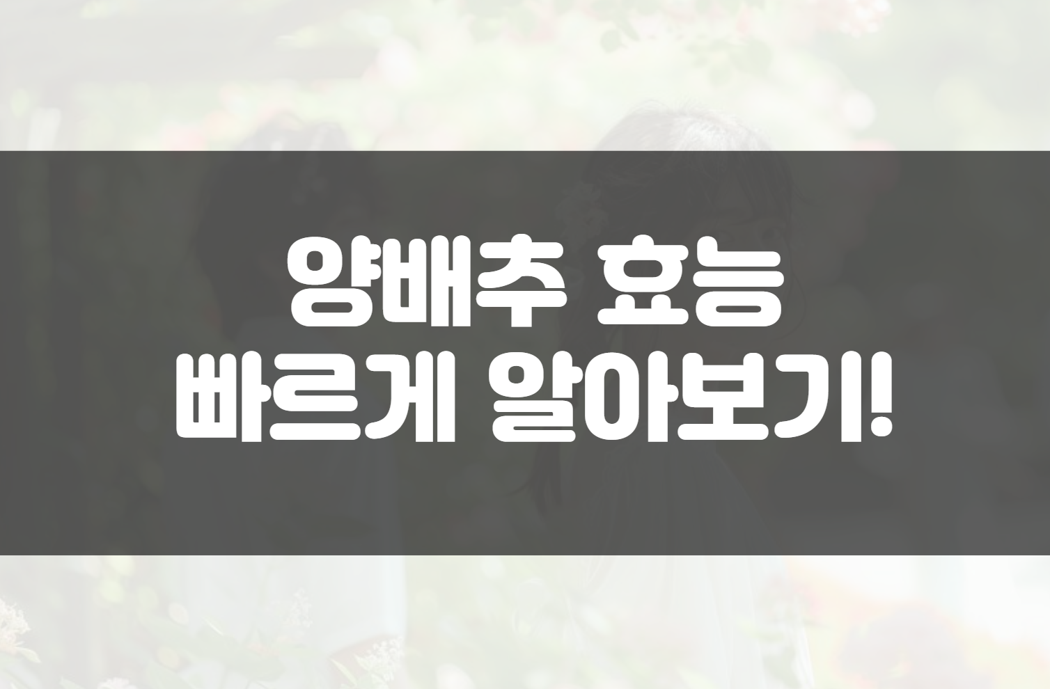 양배추 효능 10가지