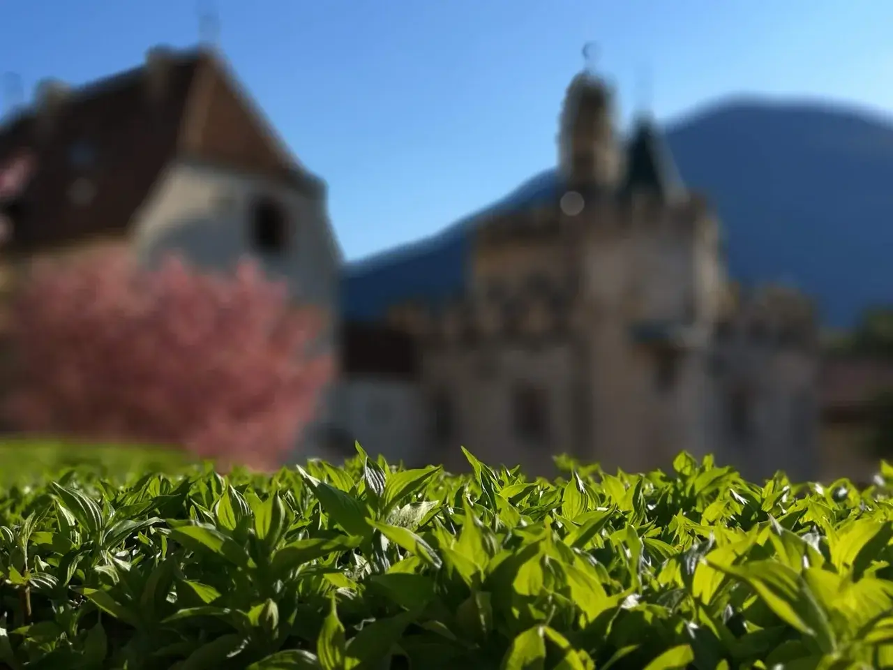 공황장애 증상과 치료