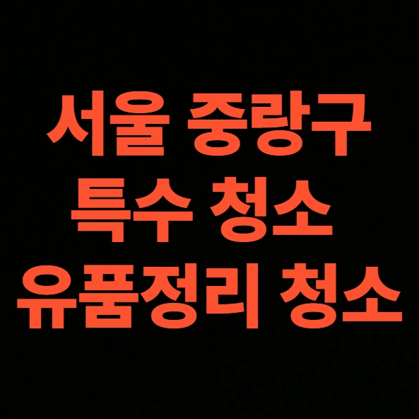 서울 중랑구 유품정리 업체 비용 후기 원룸 청소 전문