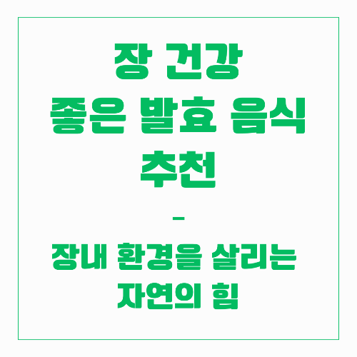 장 건강 - 발효 음식 추천