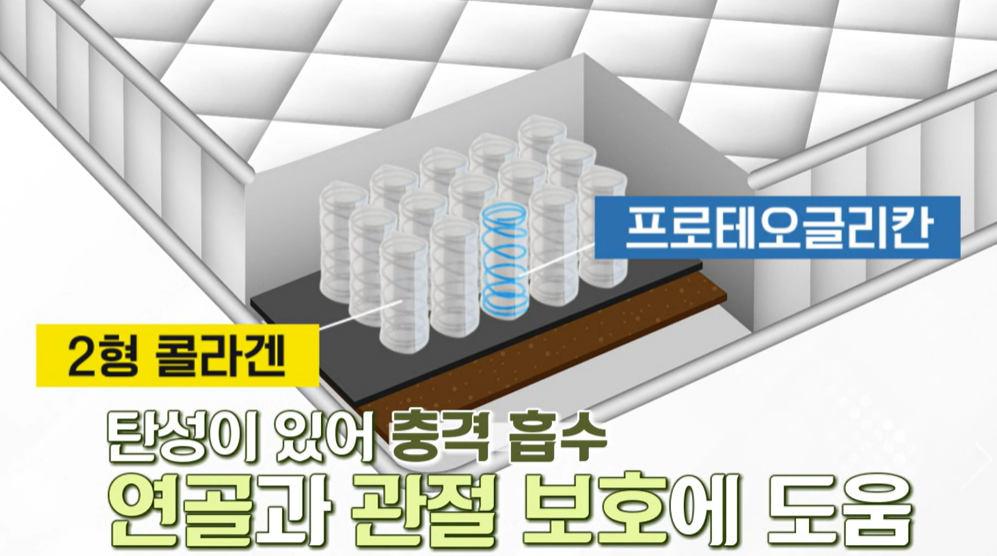 프로테오글리칸 효능