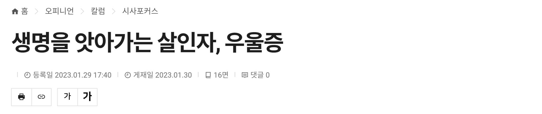뉴스칼럼