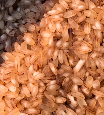 현미 효능과 부작용 영양성분 칼로리 다이어트