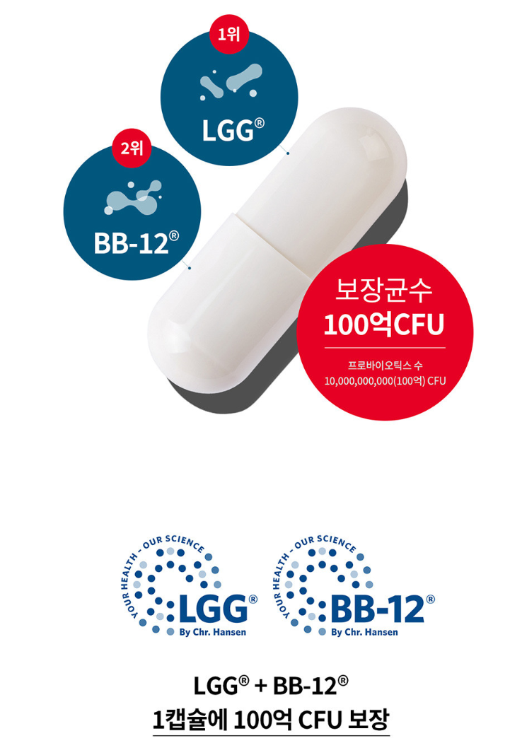 덴마크 유산균 이야기 