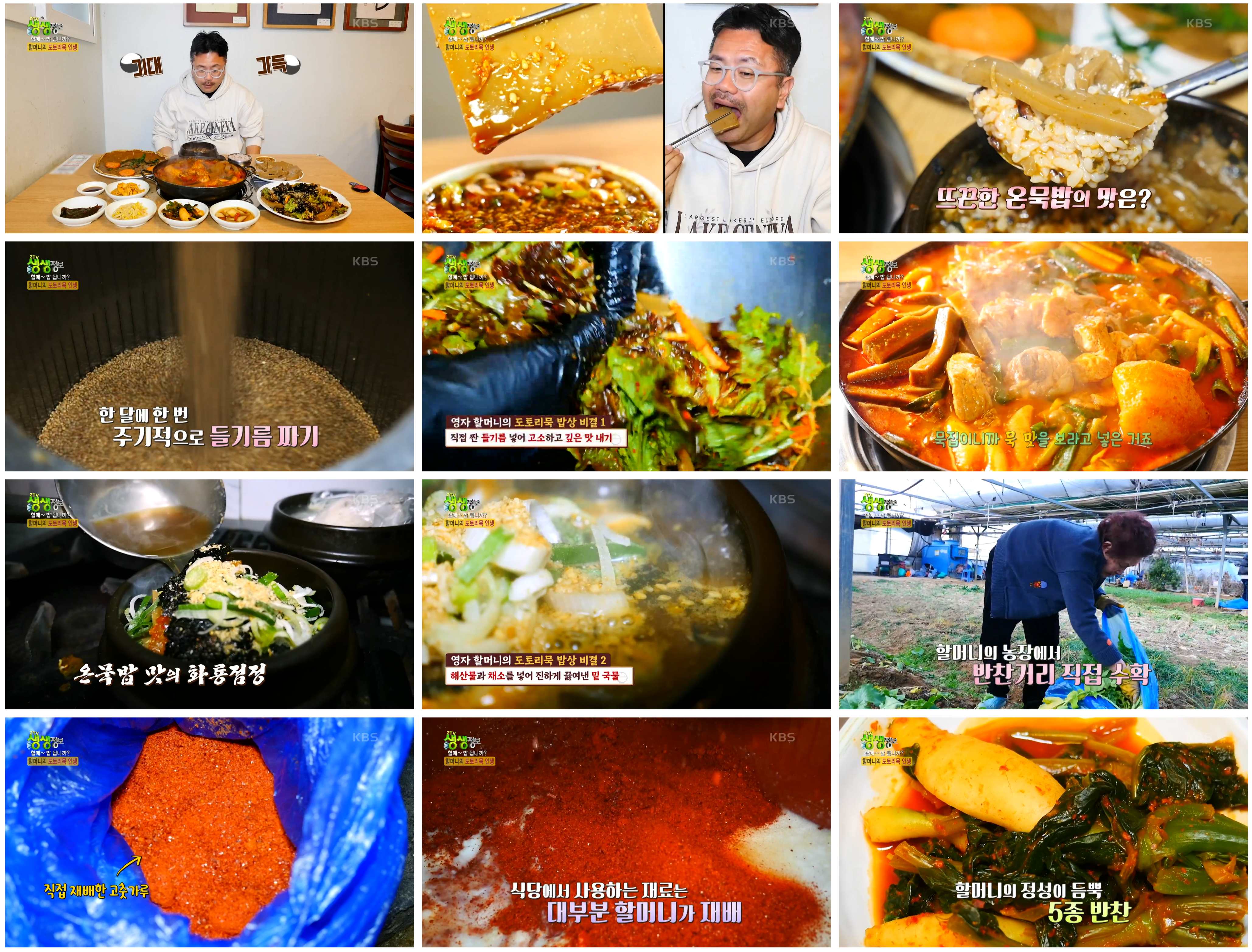 생생정보 도토리묵