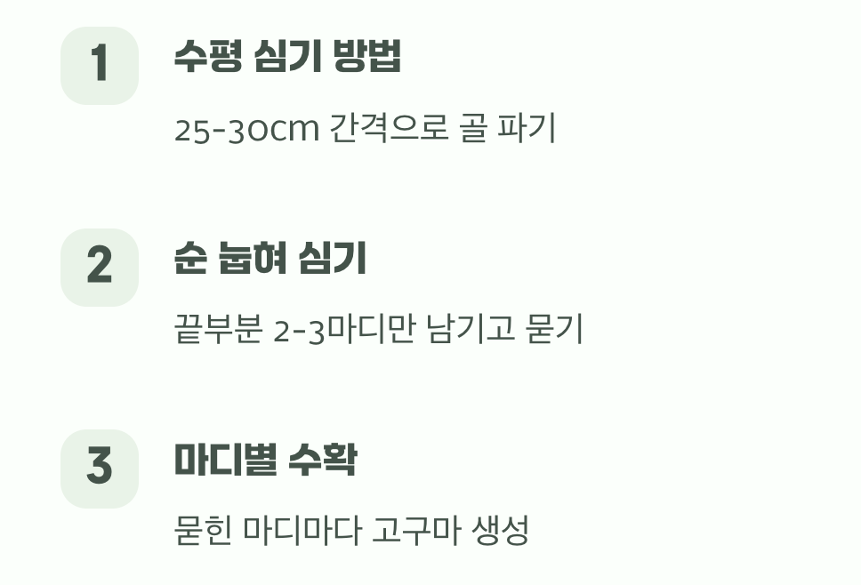 수확량을 두 배로 늘리는 심기 기술