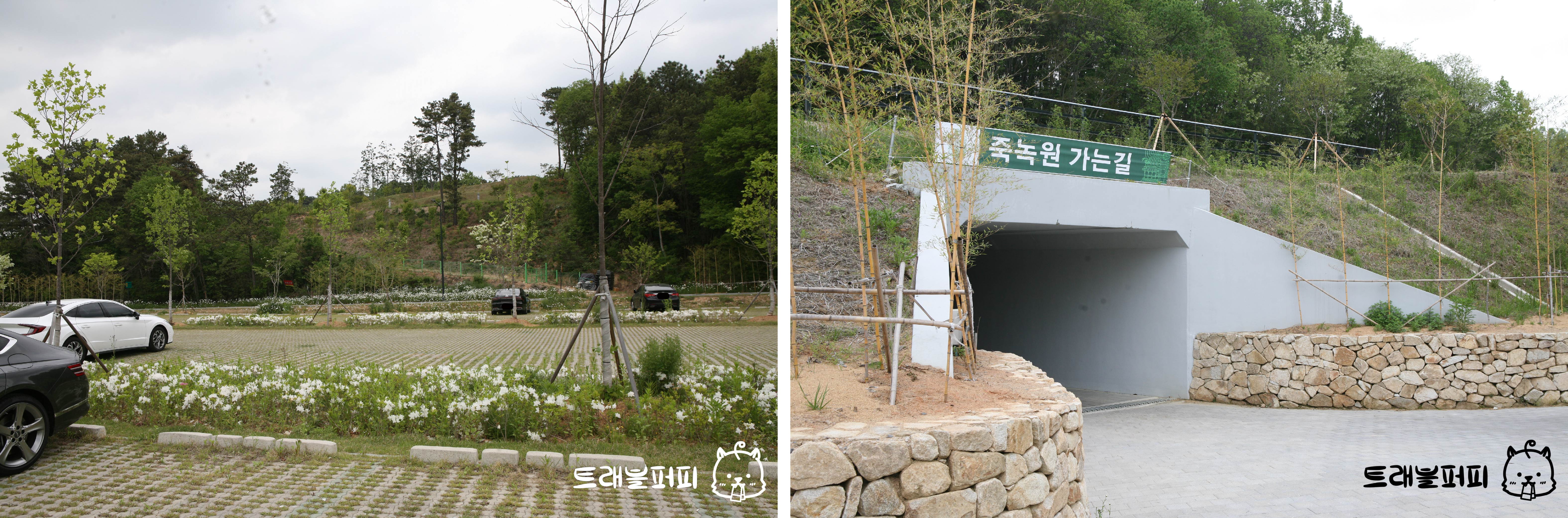 죽녹원 후문 주차장 사진.