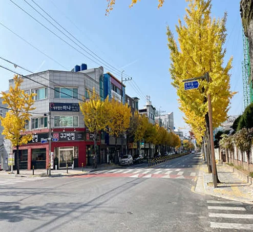 세무법인 하나 전주지점